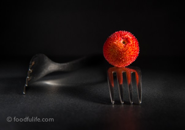 Strawberry tree fruit on fork