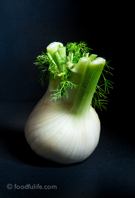Fennel with dark background