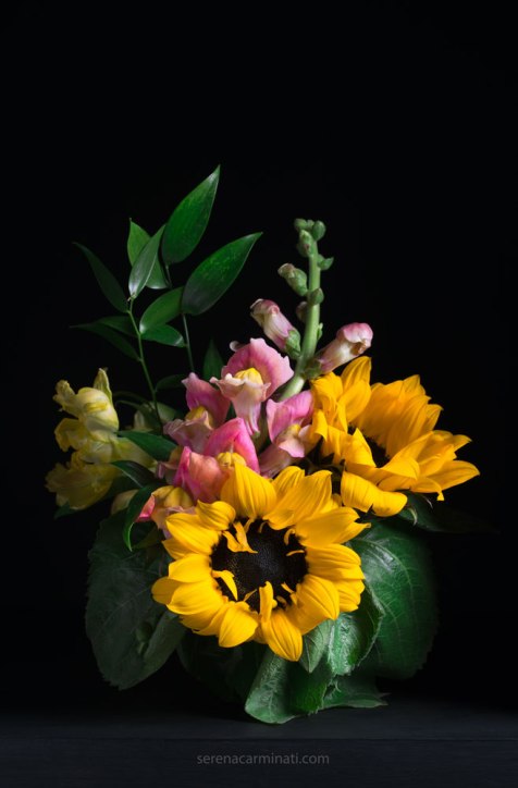 sunflowers with Snapdragon (Antirrhinum-majus) flower bouquet with low-key lighting